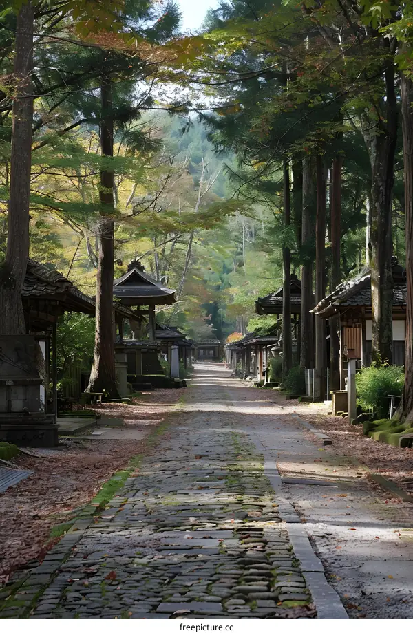 Cobblestone Path Through Tranquil Forest in Japan