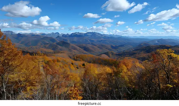 Colorful mountains and forests in autumn