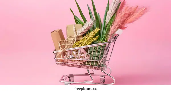 Shopping Cart With Gifts and Plants