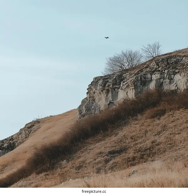 Bird Flying Over Cliff and Mountain