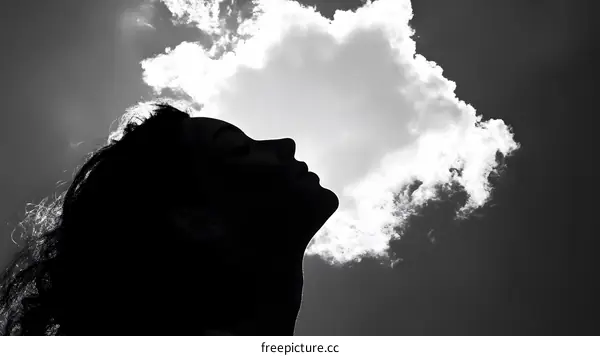 Silhouette of Woman Looking Up at the Clouds