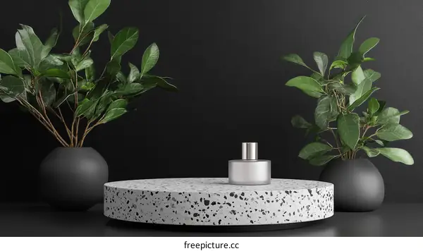 Modern Minimalist Plant Display Podium