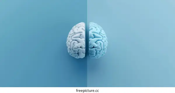 Half Brain Split - Blue and White 3D Illustration