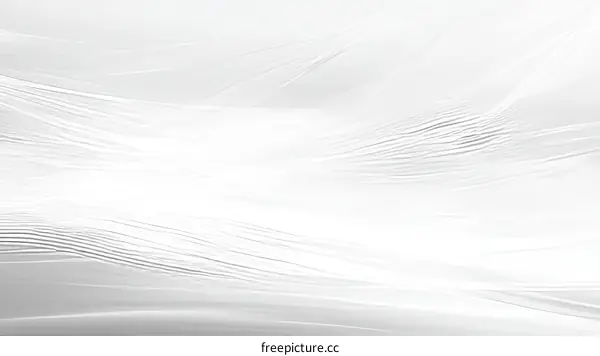 Abstract White Feather Texture Background Design