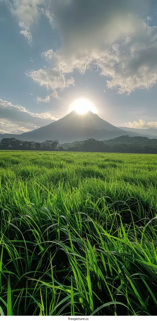 Green field with volcano in the distance