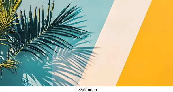Palm Leaf Shadow On Blue White and Yellow Wall Minimalist Background