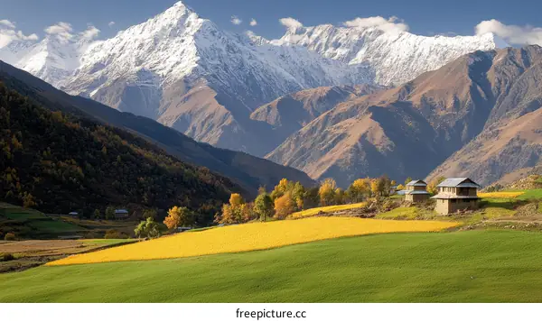 Picturesque Mountain Village with Yellow Fields