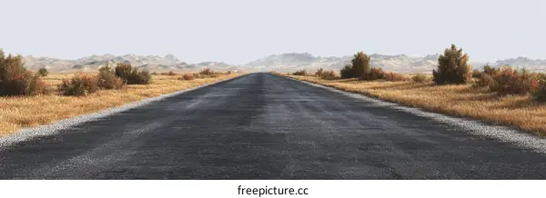 Empty Road Leading Through a Desert Landscape