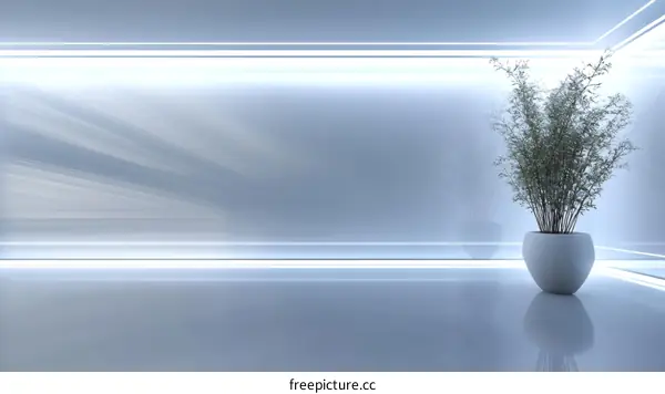 Modern Empty Room with Plant Illustration