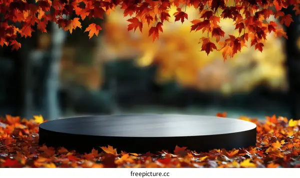 Autumn Scene Display Platform
