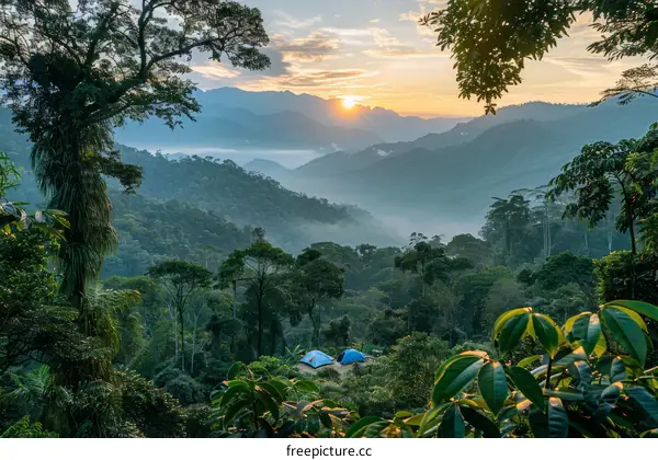 Camping in the Ecuadorian Andes: A Journey Through Cloud Forests