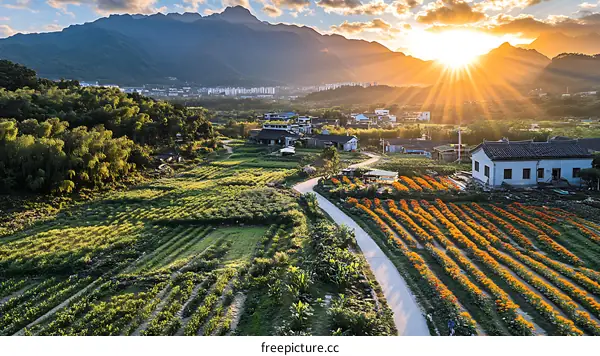 Rural Landscape with Mountain View at Sunset