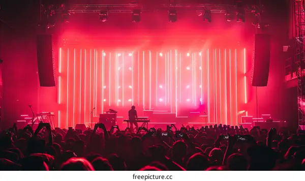 The crowd at a concert is lit up by red lights.