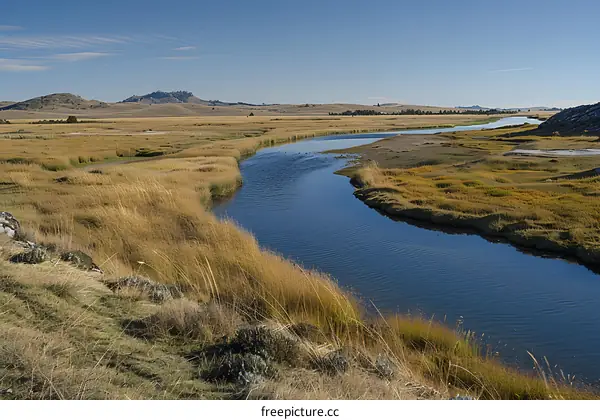 a river flowing through a grassy plain