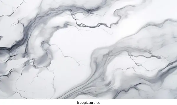 Black and white marble texture with gray veins