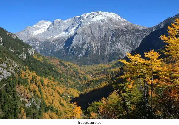 Scenic View of Autumn Foliage and Mountain Peaks