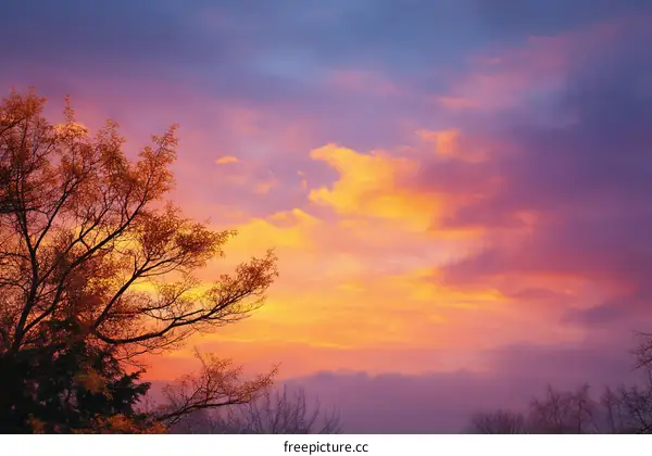 Colorful Sunset Sky Over Trees