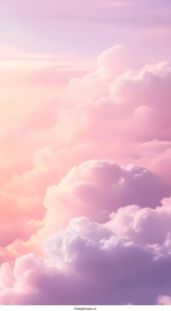 Pink and Purple Clouds in the Sky