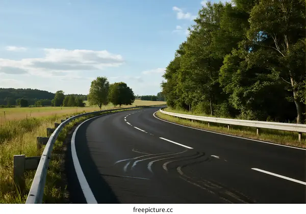 A smooth curved road surrounded by lush green trees under a clear sky