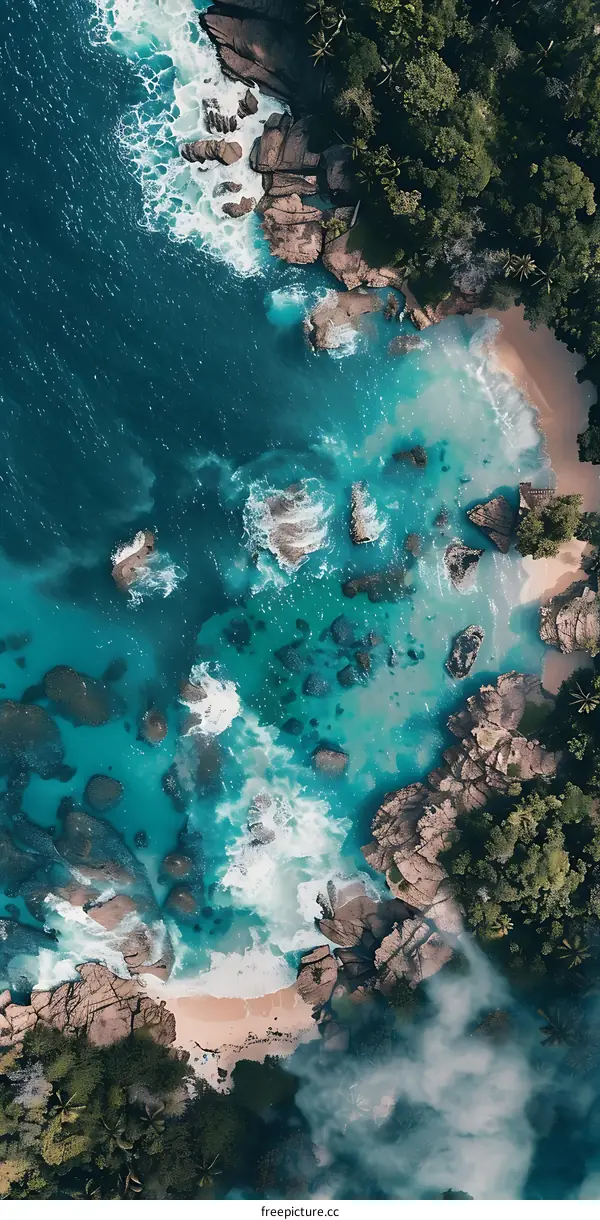 Aerial View of a Tropical Beach with Crystal Clear Water
