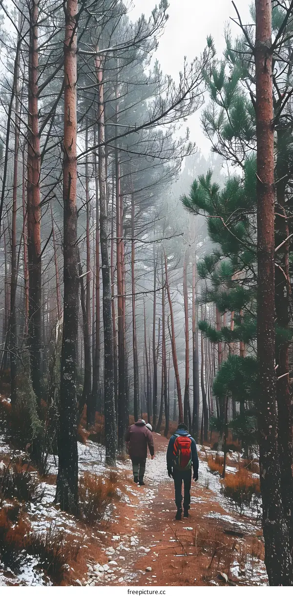 Two Men Hiking Through A Snowy Forest