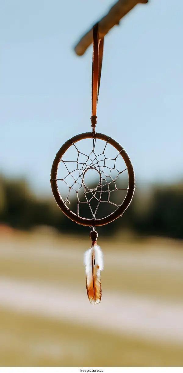 Dreamcatcher Hanging From Branch With Feather