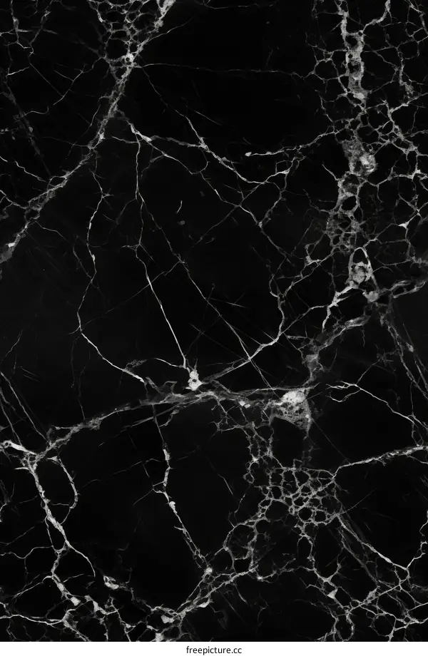 Black marble texture with white veins