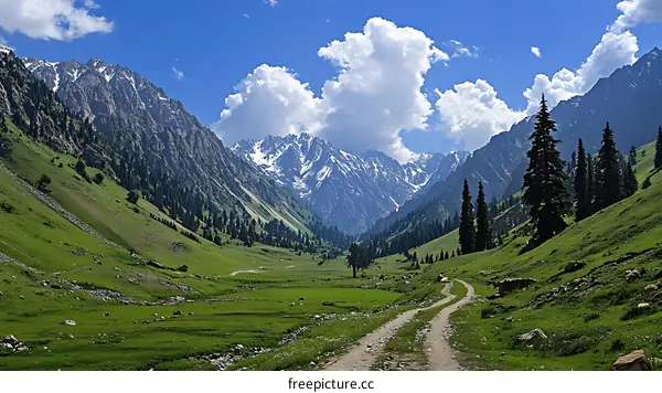 Majestic Mountain Valley Landscape in Summer
