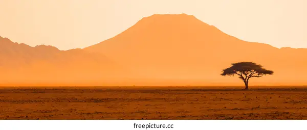Silhouette of a Tree in a Desert Landscape with Mountains in the Background