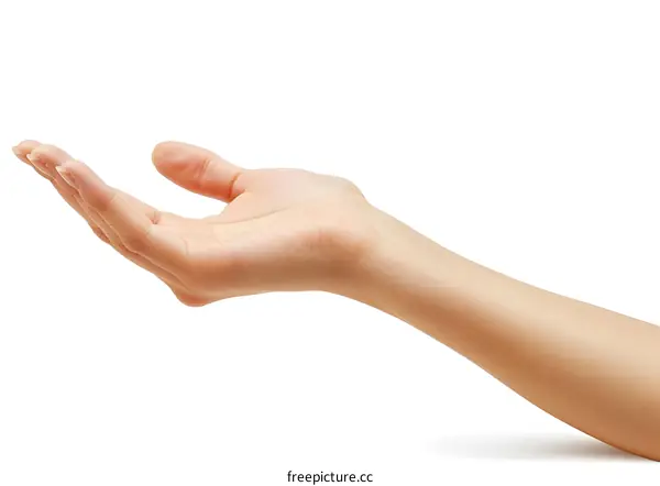 An open hand with the palm facing upwards