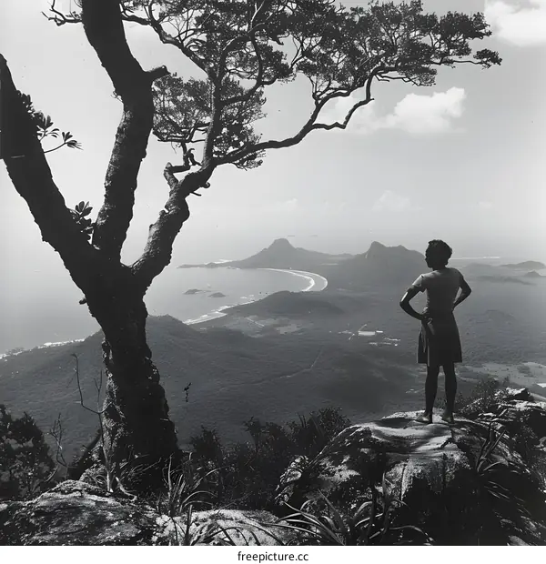 Woman Standing on a Cliff Overlooking a Bay