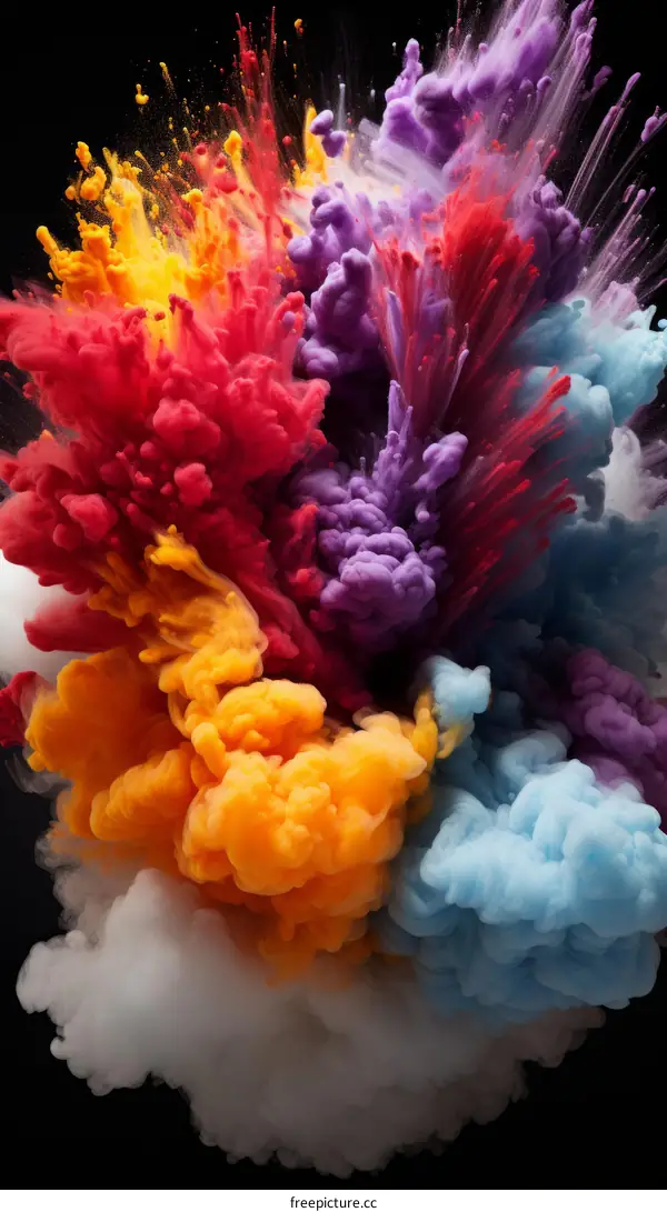 Colorful powder explosion on black background