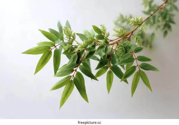 Artificial Plant Branch with Green Leaves