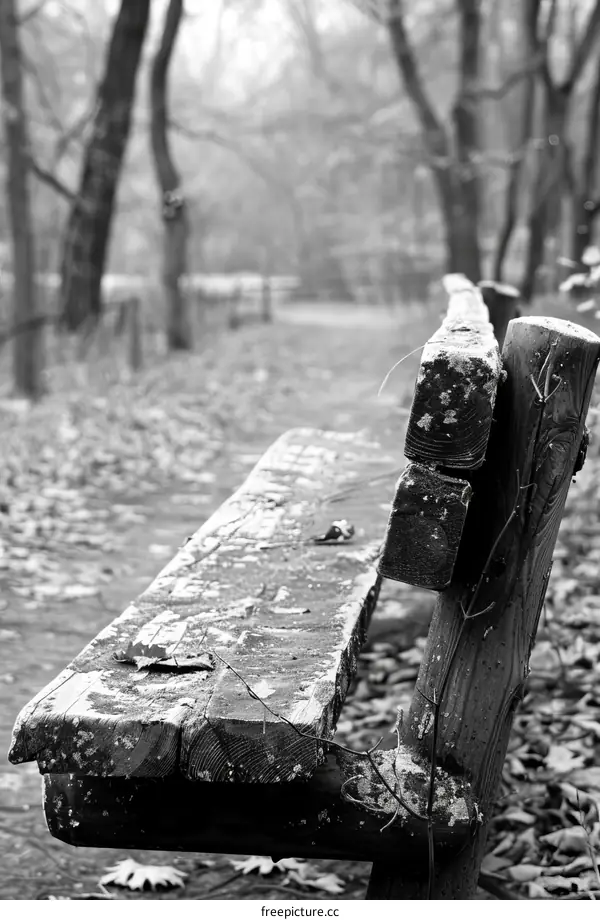 Wooden bench in the middle of a snowy forest
