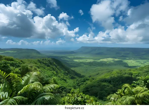 Lush green valley landscape