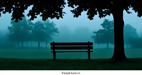 Empty Bench Under A Tree In Fog