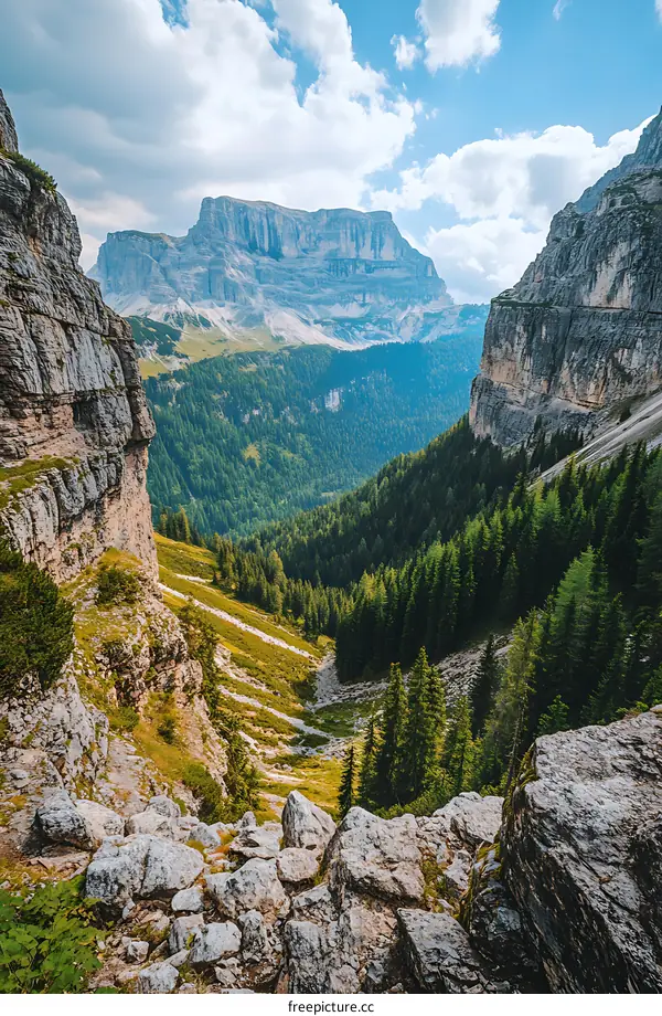 Mountain Landscape with Lush Green Forests