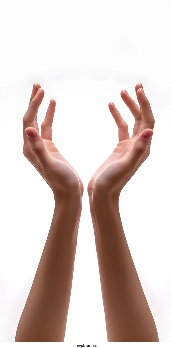 Two hands with open palms facing upwards