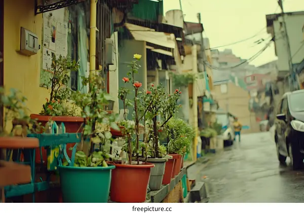 Rainy Day in an Asian City Alley with Flower Pots and a Car