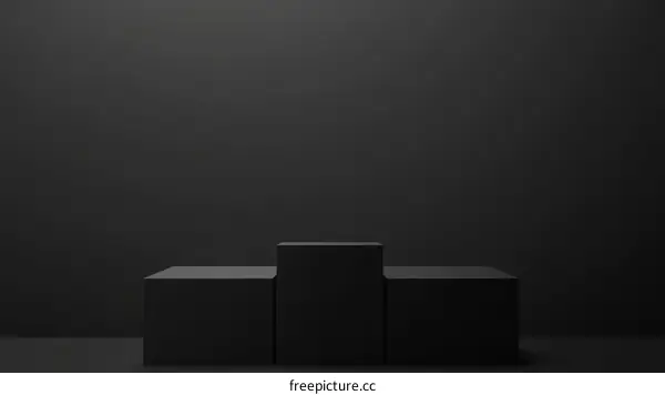 Modern Minimalist Black Podiums Display