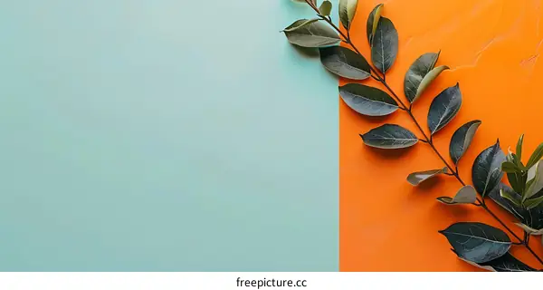 Green Branch on Two Tone Background