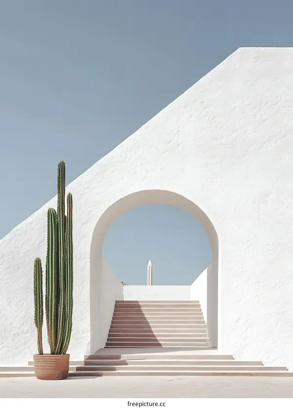 Minimalist White Archway with Cactus and Stairs