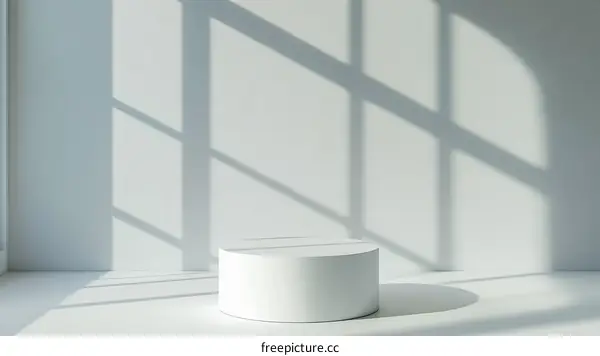 White Cylinder Podium Display in a Modern Interior