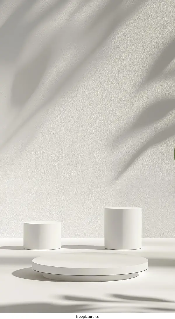 White Minimalist Product Display with Shadows