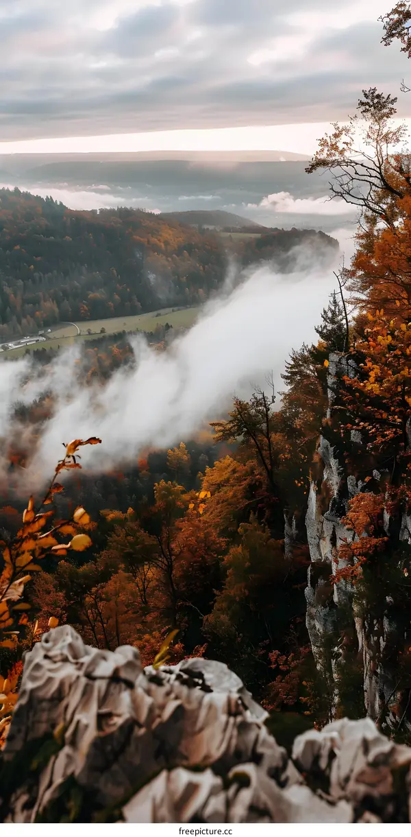 Autumn Foggy Mountain Landscape