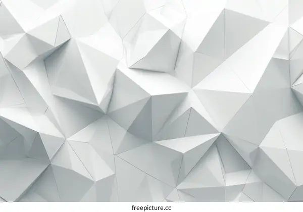 3D rendering of a white polygonal surface