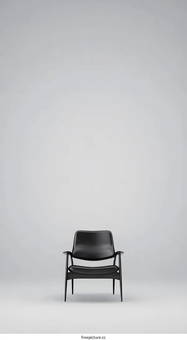 Black Leather Armchair in a Minimalist Studio