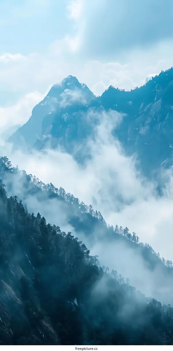 Misty Mountains Forest Landscape