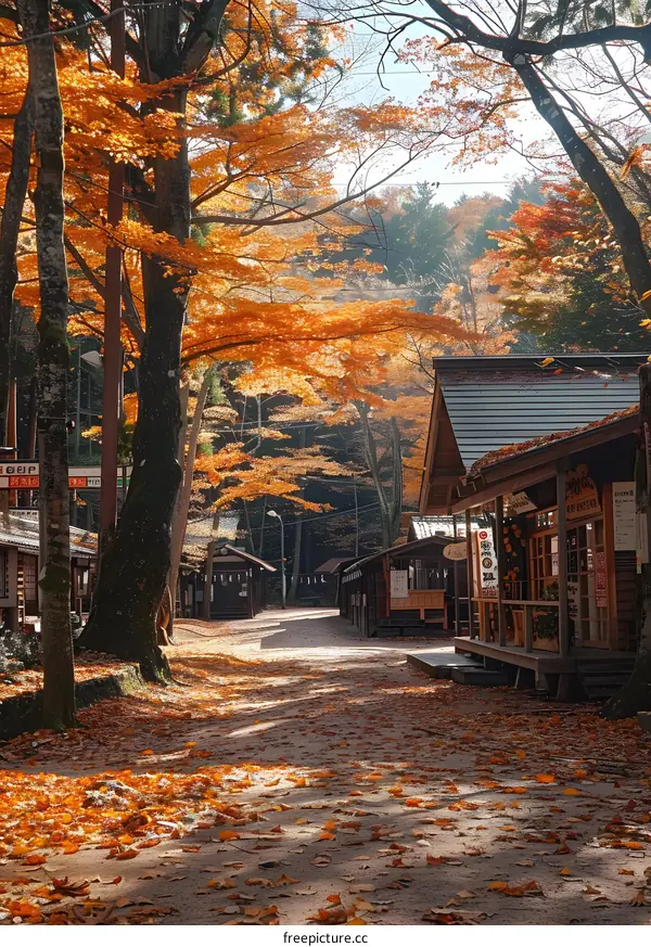 Maple leaves in autumn