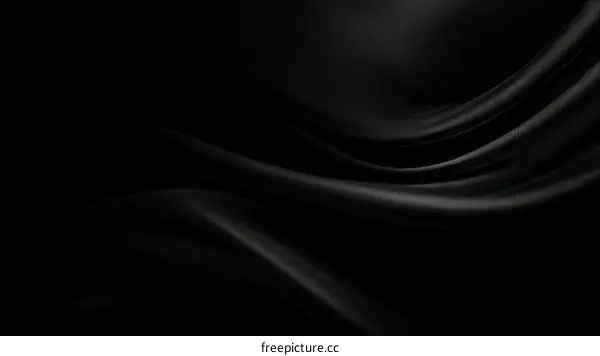 Elegant Black Silk Fabric Texture